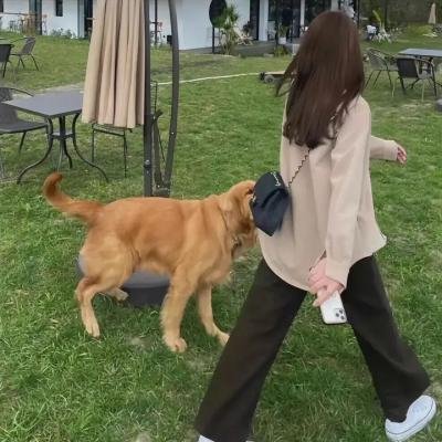 灵肉思春 海报